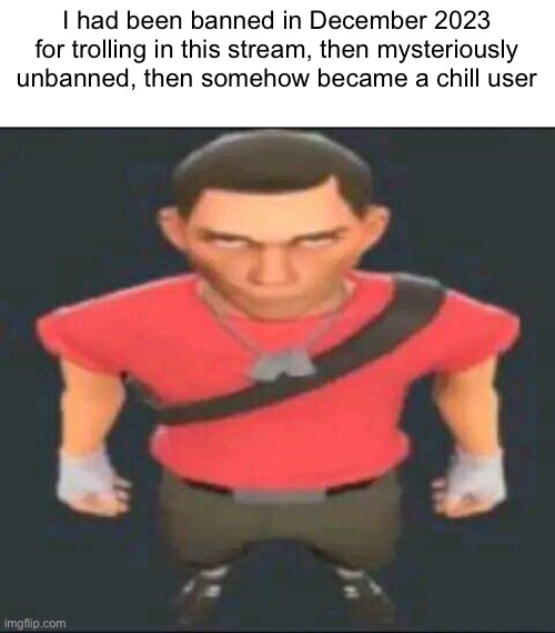 Probably known as Mossburger or a fake Sallie.May | I had been banned in December 2023 for trolling in this stream, then mysteriously unbanned, then somehow became a chill user | image tagged in bro | made w/ Imgflip meme maker