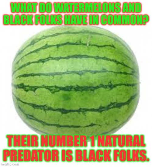 Watermelon | WHAT DO WATERMELONS AND BLACK FOLKS HAVE IN COMMON? THEIR NUMBER 1 NATURAL PREDATOR IS BLACK FOLKS. | image tagged in watermelon | made w/ Imgflip meme maker