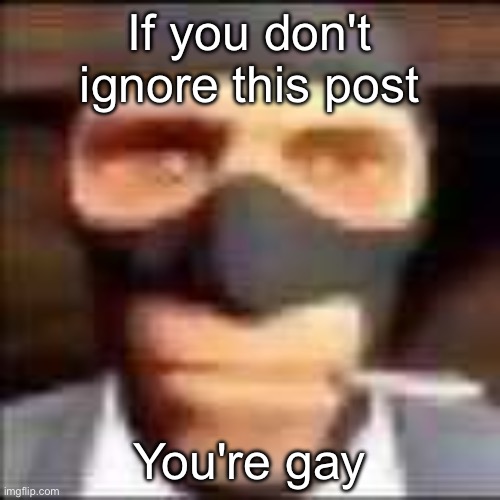 spi | If you don't ignore this post; You're gay | image tagged in spi | made w/ Imgflip meme maker