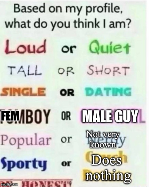 I will say incorrect if you miss | FEM; MALE GUY; Not very
known; Does
 nothing | image tagged in based on my profile what do you think i am,guess | made w/ Imgflip meme maker