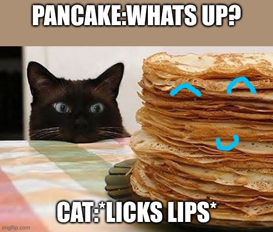 Pancake Cat | PANCAKE:WHATS UP? CAT:*LICKS LIPS* | image tagged in pancake cat | made w/ Imgflip meme maker