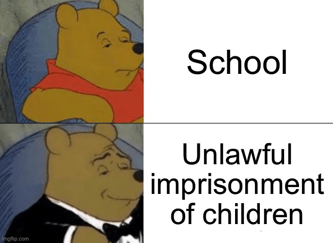School=prison | School; Unlawful imprisonment of children | image tagged in memes,tuxedo winnie the pooh,school | made w/ Imgflip meme maker