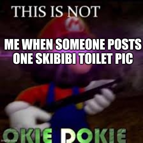 I hate skibibi toilet | ME WHEN SOMEONE POSTS ONE SKIBIBI TOILET PIC | image tagged in this is not okie dokie | made w/ Imgflip meme maker