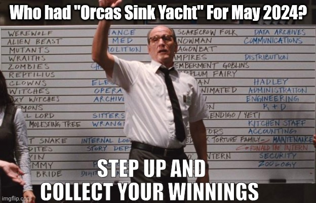 The Orcas are at it again | Who had "Orcas Sink Yacht" For May 2024? STEP UP AND COLLECT YOUR WINNINGS | image tagged in cabin in the woods,orca,yacht | made w/ Imgflip meme maker