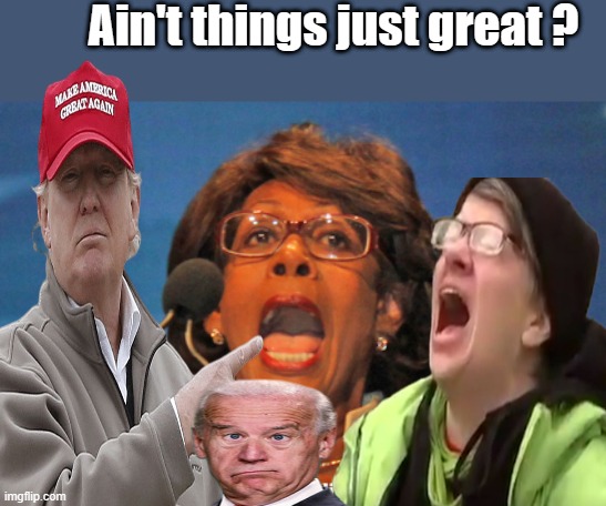 DEMS are the real insurrectionists, Destroy from within has allways been thier favorite tactic. | Ain't things just great ? | image tagged in maxine waters,democrats,destroy,psychopaths and serial killers | made w/ Imgflip meme maker
