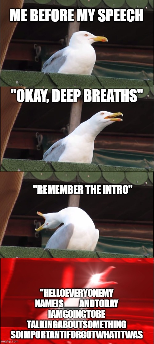 Public speaking class | ME BEFORE MY SPEECH; "OKAY, DEEP BREATHS"; "REMEMBER THE INTRO"; "HELLOEVERYONEMY
NAMEIS___ANDTODAY
IAMGOINGTOBE
TALKINGABOUTSOMETHING
SOIMPORTANTIFORGOTWHATITWAS | image tagged in memes,inhaling seagull,public speaking,school | made w/ Imgflip meme maker