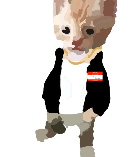 High Quality eminem cat Blank Meme Template