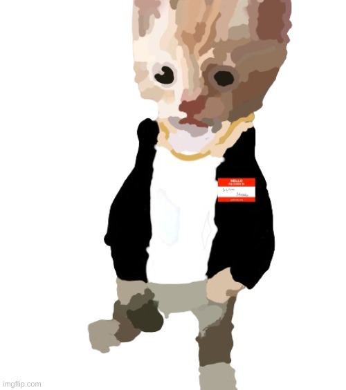 eminem cat | image tagged in eminem cat | made w/ Imgflip meme maker