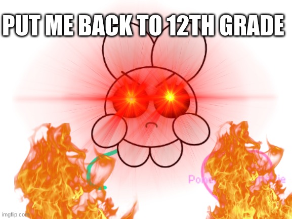 punie chan is angry | PUT ME BACK TO 12TH GRADE | image tagged in punie chan,cutecore | made w/ Imgflip meme maker