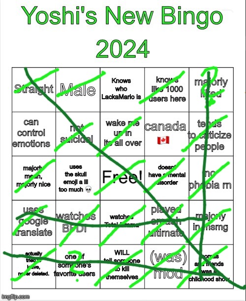 4 bingos is crazy | image tagged in yoshi 2024 bingo | made w/ Imgflip meme maker