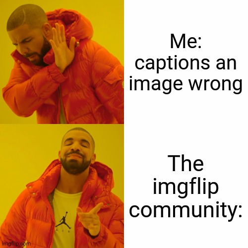 UpVoTE iF TrUe | Me: captions an image wrong; The imgflip community: | image tagged in memes,drake hotline bling | made w/ Imgflip meme maker