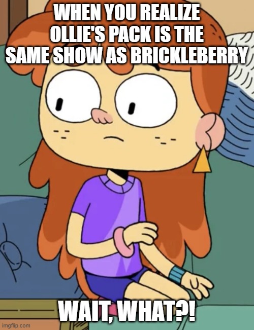 Pyper, you're an IDIOT!!!! | WHEN YOU REALIZE OLLIE'S PACK IS THE SAME SHOW AS BRICKLEBERRY; WAIT, WHAT?! | image tagged in ollie's pack confused pyper,brickleberry,dude wtf,ollie's pack,comedy central,what an idiot | made w/ Imgflip meme maker