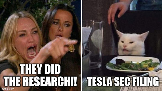 Angry lady cat | THEY DID THE RESEARCH!! TESLA SEC FILING | image tagged in angry lady cat | made w/ Imgflip meme maker