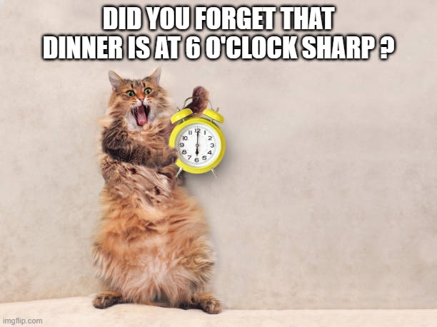 memes by Brad - The cat has a clock - humor | DID YOU FORGET THAT DINNER IS AT 6 O'CLOCK SHARP ? | image tagged in funny,cats,clock,funny cat,hungry cat,humor | made w/ Imgflip meme maker