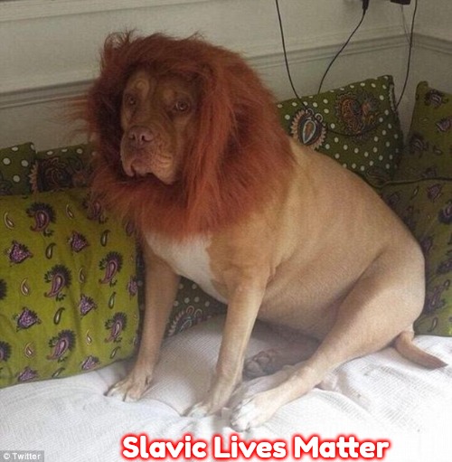 Dog In A Lion Costume | Slavic Lives Matter | image tagged in dog in a lion costume,slavic | made w/ Imgflip meme maker