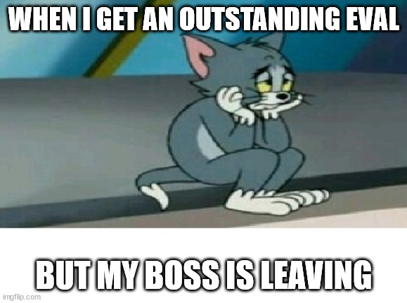 my boss is leaving | WHEN I GET AN OUTSTANDING EVAL; BUT MY BOSS IS LEAVING | image tagged in sad tom cat | made w/ Imgflip meme maker