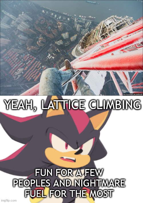 Shadow the Hedgehog | YEAH, LATTICE CLIMBING; FUN FOR A FEW PEOPLES AND NIGHTMARE FUEL FOR THE MOST | image tagged in lattice climbing,angry,shadow,sonic the hedgehog,freeclimbing,meme | made w/ Imgflip meme maker