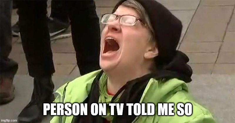 crying liberal | PERSON ON TV TOLD ME SO | image tagged in crying liberal | made w/ Imgflip meme maker