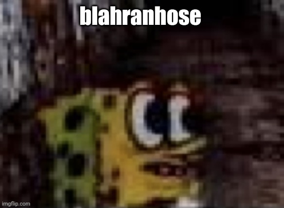 ????? fuck does ts mean | blahranhose | image tagged in spunch bop trauma | made w/ Imgflip meme maker