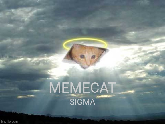 ceiling cat in the clouds | MEMECAT SIGMA | image tagged in ceiling cat in the clouds | made w/ Imgflip meme maker