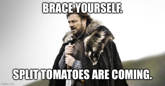 Florida summer rain | BRACE YOURSELF. SPLIT TOMATOES ARE COMING. | image tagged in winter is coming | made w/ Imgflip meme maker