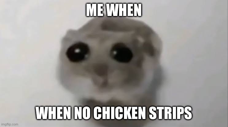 Sad Hamster | ME WHEN; WHEN NO CHICKEN STRIPS | image tagged in sad hamster | made w/ Imgflip meme maker