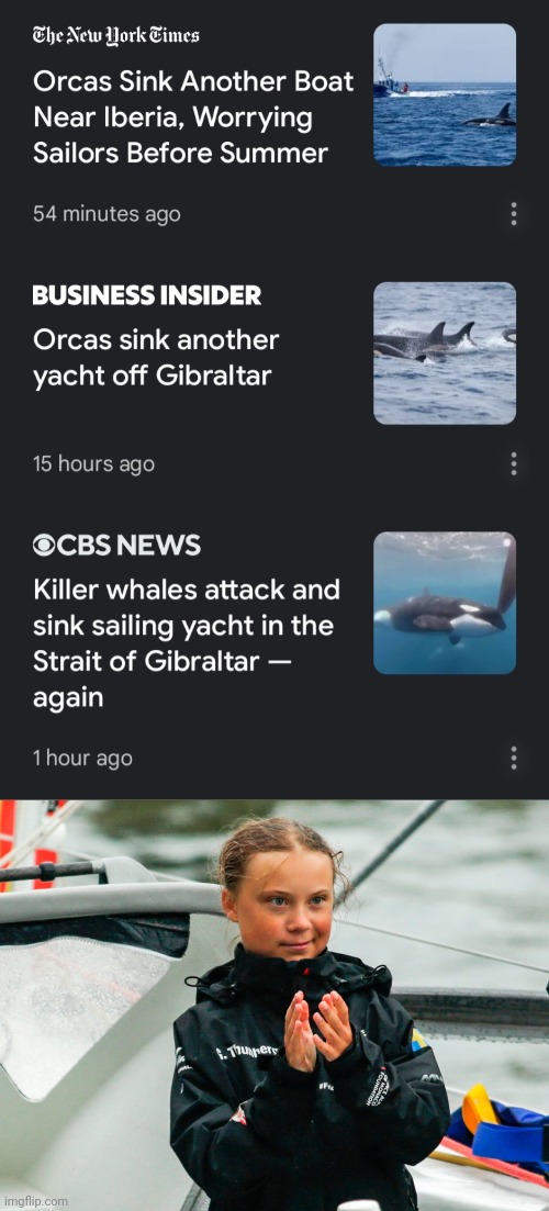 Animals vs. plutocracy | image tagged in killer whales,yachts,down with plutocracy,up with environmentalism,animal intelligence,greta thunberg | made w/ Imgflip meme maker