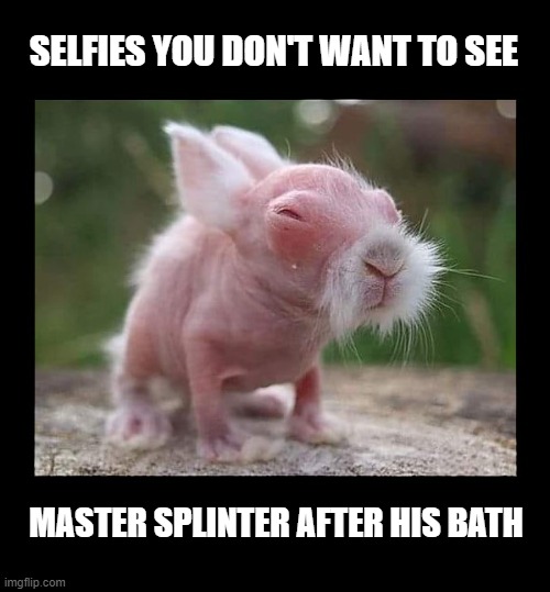 SELFIES YOU DON'T WANT TO SEE; MASTER SPLINTER AFTER HIS BATH | made w/ Imgflip meme maker