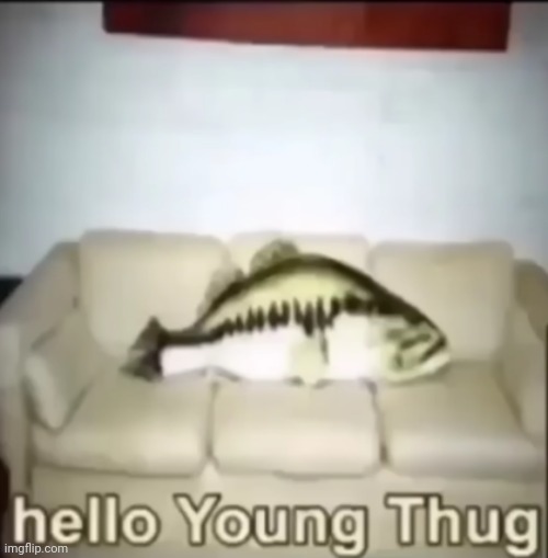 Fish thug | image tagged in hello young thug | made w/ Imgflip meme maker