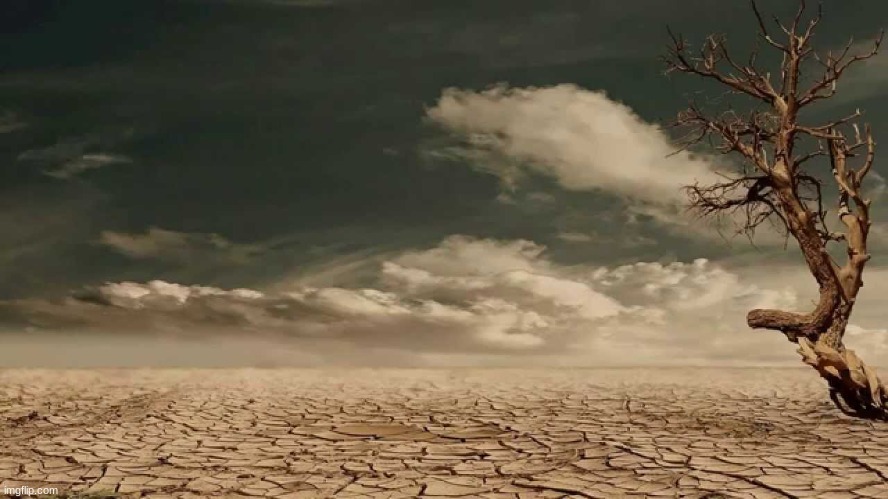 Wasteland | image tagged in wasteland | made w/ Imgflip meme maker