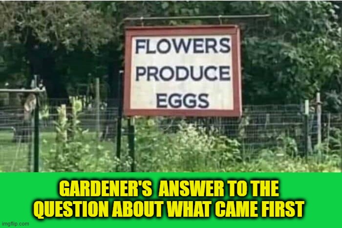 GARDENER'S  ANSWER TO THE QUESTION ABOUT WHAT CAME FIRST | made w/ Imgflip meme maker