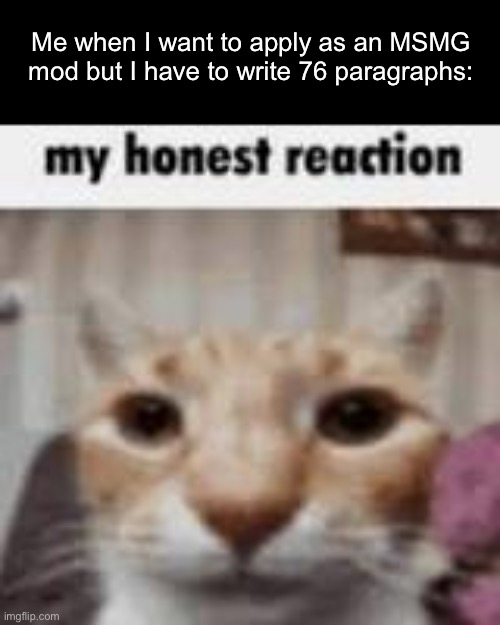 My Honest Reaction | Me when I want to apply as an MSMG mod but I have to write 76 paragraphs: | image tagged in my honest reaction | made w/ Imgflip meme maker