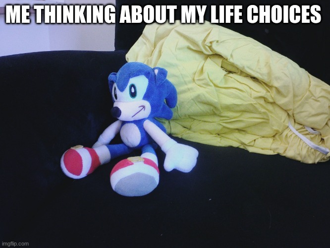 why... | ME THINKING ABOUT MY LIFE CHOICES | image tagged in sonic questioning life,sonic the hedgehog,sonic,sonic meme | made w/ Imgflip meme maker