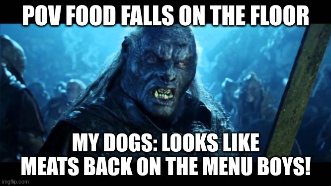 Back on the Menu Boys! | POV FOOD FALLS ON THE FLOOR; MY DOGS: LOOKS LIKE MEATS BACK ON THE MENU BOYS! | image tagged in back on the menu boys | made w/ Imgflip meme maker