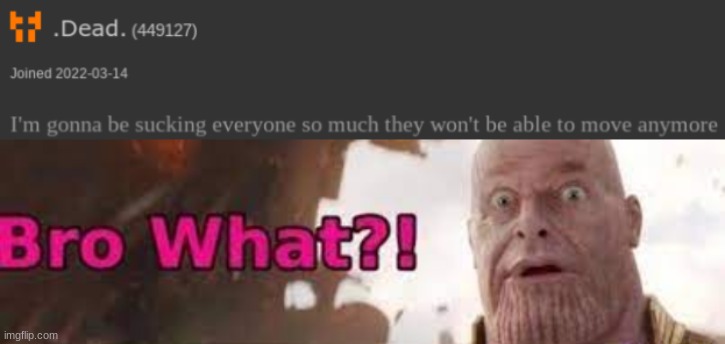 image tagged in thanos - bro what | made w/ Imgflip meme maker