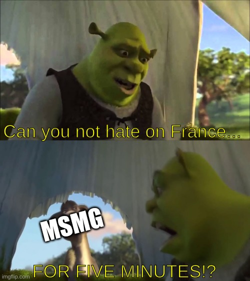 shrek five minutes | Can you not hate on France... FOR FIVE MINUTES!? MSMG | image tagged in shrek five minutes | made w/ Imgflip meme maker