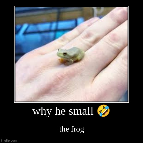 why he small ? | the frog | image tagged in funny,demotivationals | made w/ Imgflip demotivational maker