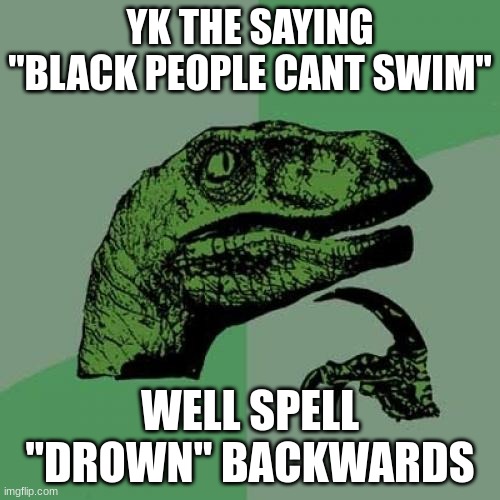Philosoraptor | YK THE SAYING "BLACK PEOPLE CANT SWIM"; WELL SPELL "DROWN" BACKWARDS | image tagged in memes,philosoraptor | made w/ Imgflip meme maker