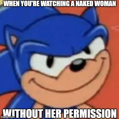 ooo ho ho | WHEN YOU'RE WATCHING A NAKED WOMAN; WITHOUT HER PERMISSION | image tagged in sus sonic the hedgehog,sonic the hedgehog,pingas,sega,women,sonic | made w/ Imgflip meme maker