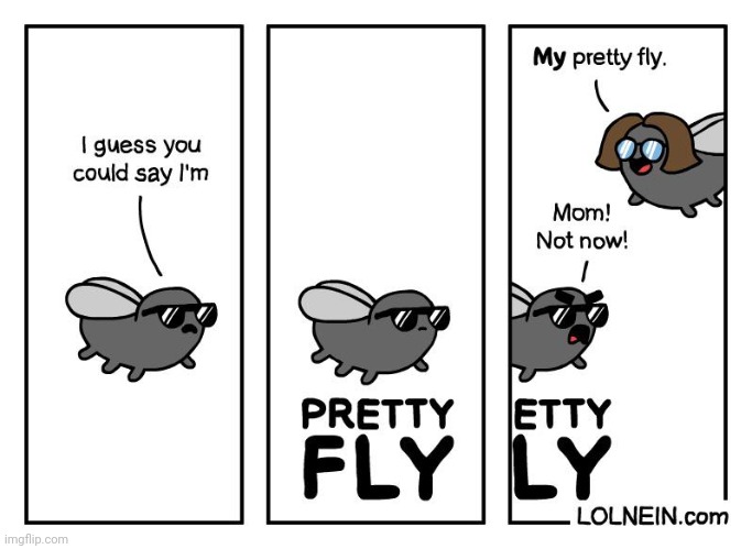 Pretty fly | image tagged in pretty,fly,flies,bug,comics,comics/cartoons | made w/ Imgflip meme maker