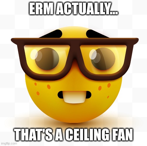 Nerd emoji | ERM ACTUALLY... THAT'S A CEILING FAN | image tagged in nerd emoji | made w/ Imgflip meme maker