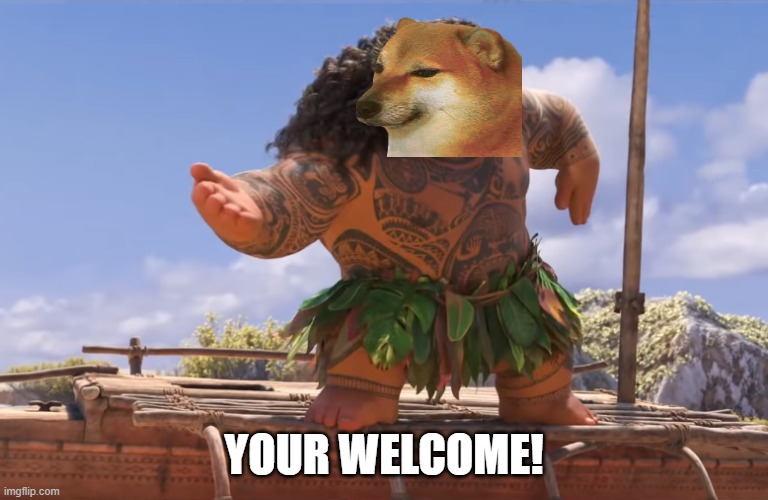you're welcome without subs | YOUR WELCOME! | image tagged in you're welcome without subs | made w/ Imgflip meme maker