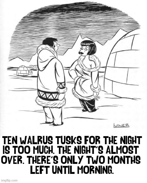 Love in Alaska | TEN WALRUS TUSKS FOR THE NIGHT
IS TOO MUCH. THE NIGHT'S ALMOST 
OVER. THERE'S ONLY TWO MONTHS 
LEFT UNTIL MORNING. | image tagged in vince vance,cartoons,eskimo,igloo,long day,alaska | made w/ Imgflip meme maker