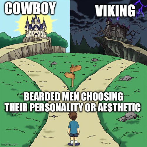 Viking or cowboy | COWBOY; VIKING; BEARDED MEN CHOOSING THEIR PERSONALITY OR AESTHETIC | image tagged in two castles,beards,memes,cowboy,viking,men problems | made w/ Imgflip meme maker