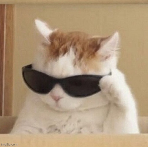 Cool cat | image tagged in cool cat | made w/ Imgflip meme maker