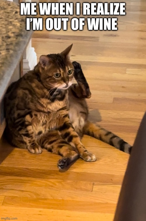 Me when I realize I’m out of wine | ME WHEN I REALIZE I’M OUT OF WINE | image tagged in wine,i just want friends who love cats drink copious amounts of wine | made w/ Imgflip meme maker