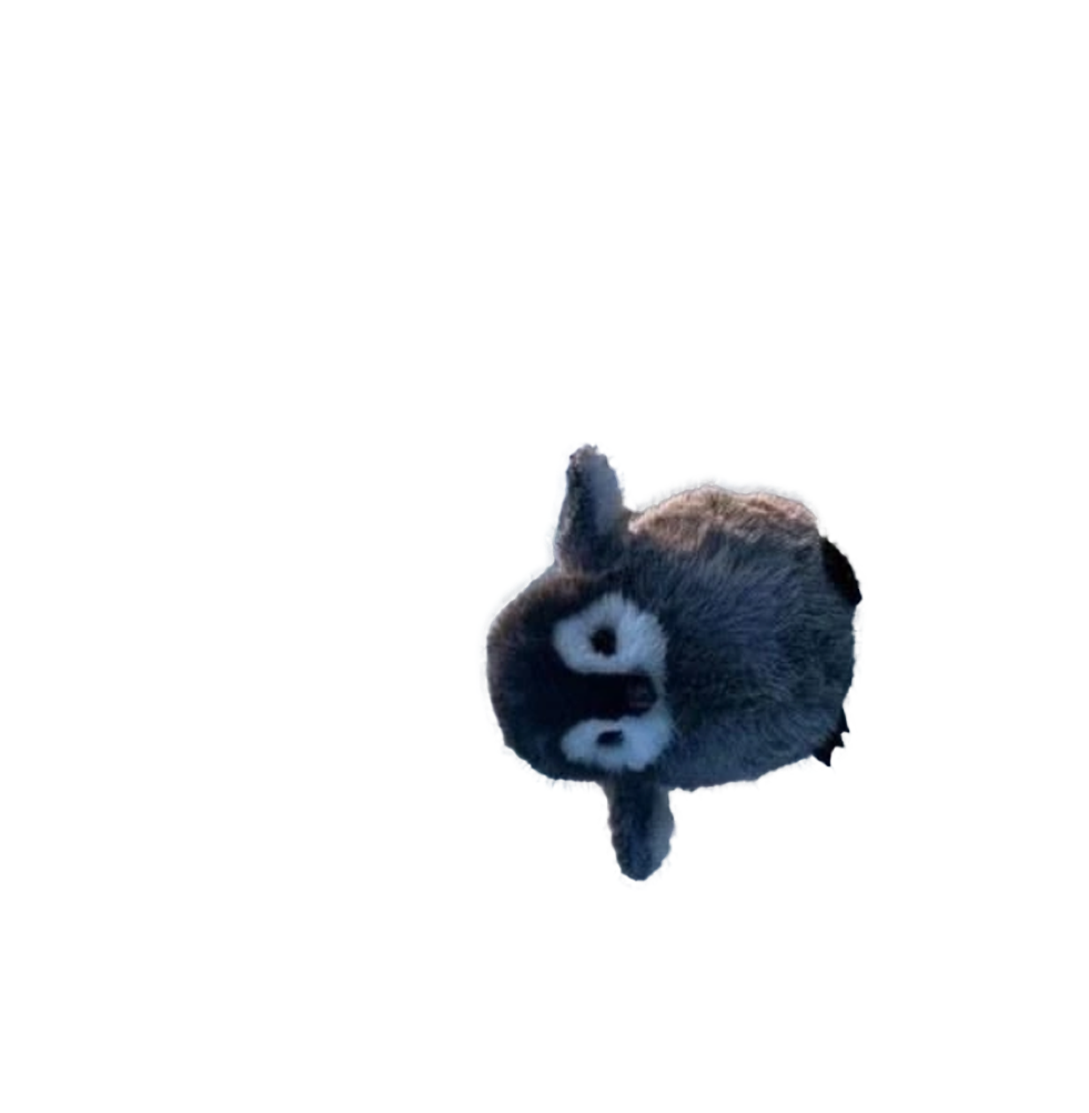 Peanie Blank Meme Template