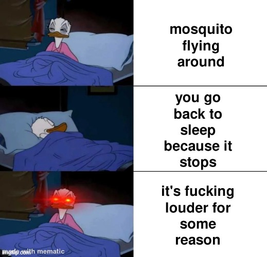 image tagged in summer,mosquito,mosquitoes,sleeping,loud,mosquito attack | made w/ Imgflip meme maker