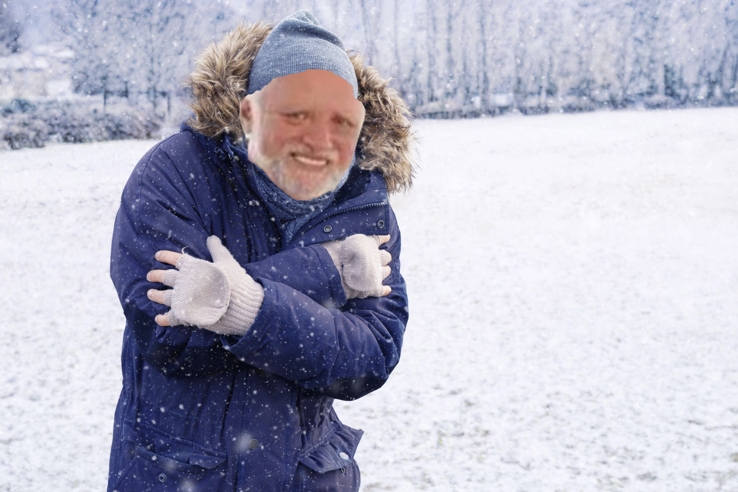 High Quality Harold Cold Winter Blank Meme Template