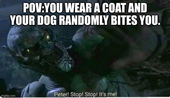 Peter! Stop! Stop! It's me! | POV:YOU WEAR A COAT AND YOUR DOG RANDOMLY BITES YOU. | image tagged in peter stop stop it's me | made w/ Imgflip meme maker